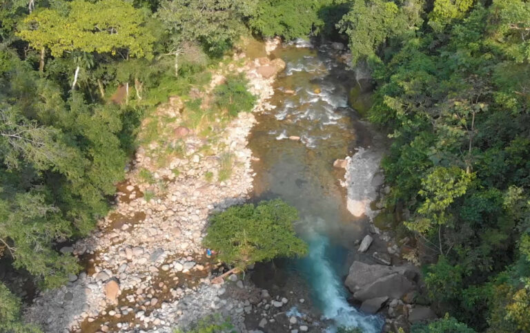 17 wanay community ayahuasca retreat center 768x482