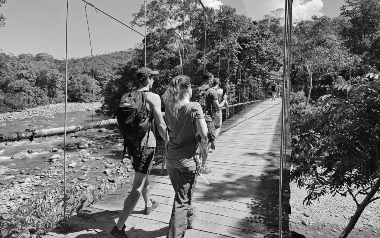 20 wanay community ayahuasca retreat center 768x482