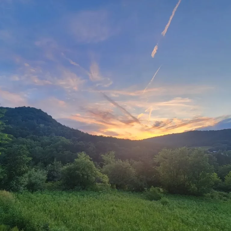 IMG 20240617 102445 085 768x768