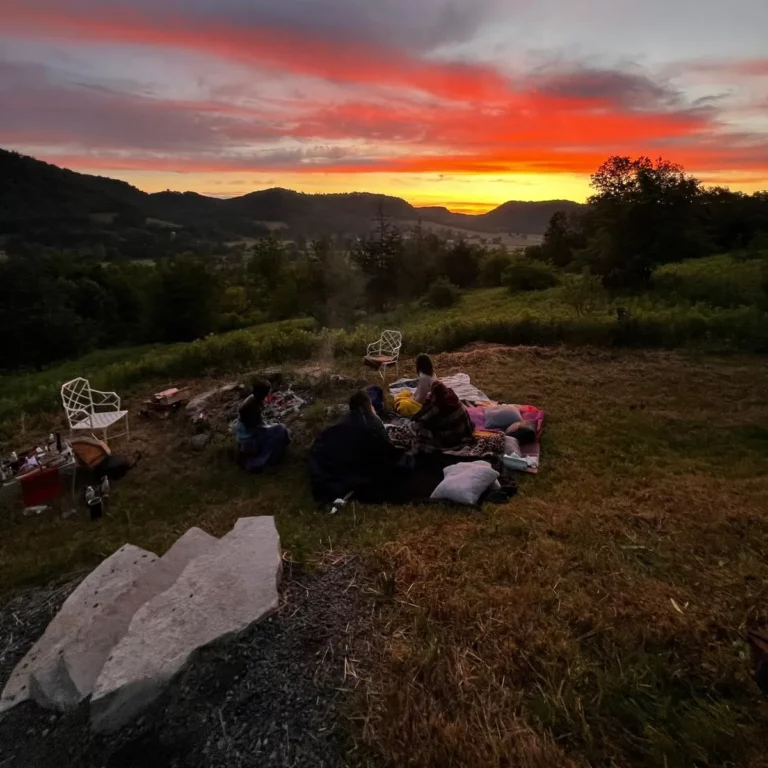 IMG 20240617 102445 473 768x768