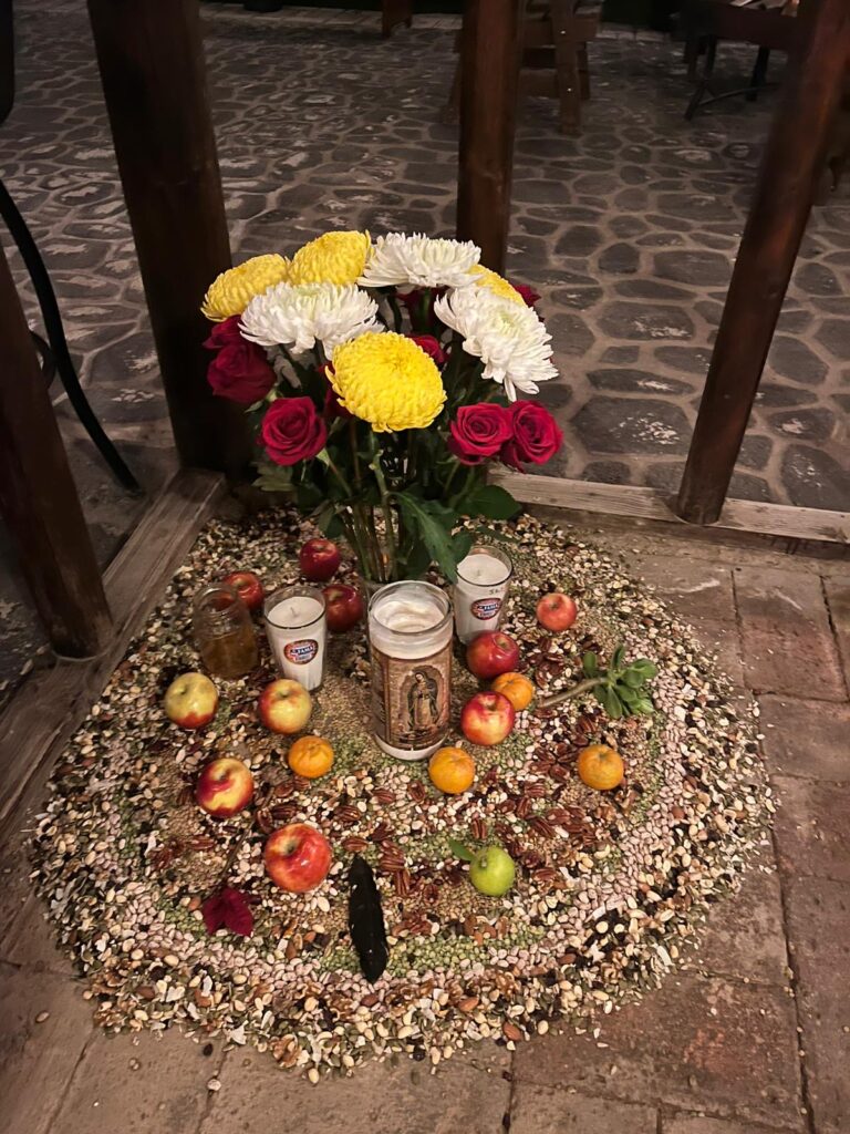 708e7dcf ad5c 4c86 8121 17dfee4b4698 768x1024