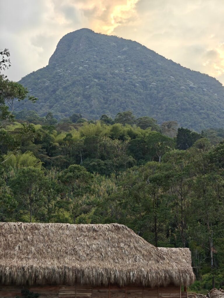 PHOTO 2024 03 12 19 05 30 768x1024