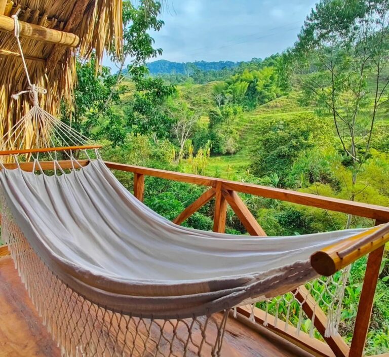 WhatsApp Image 2024 02 13 at 12.29.27 768x705