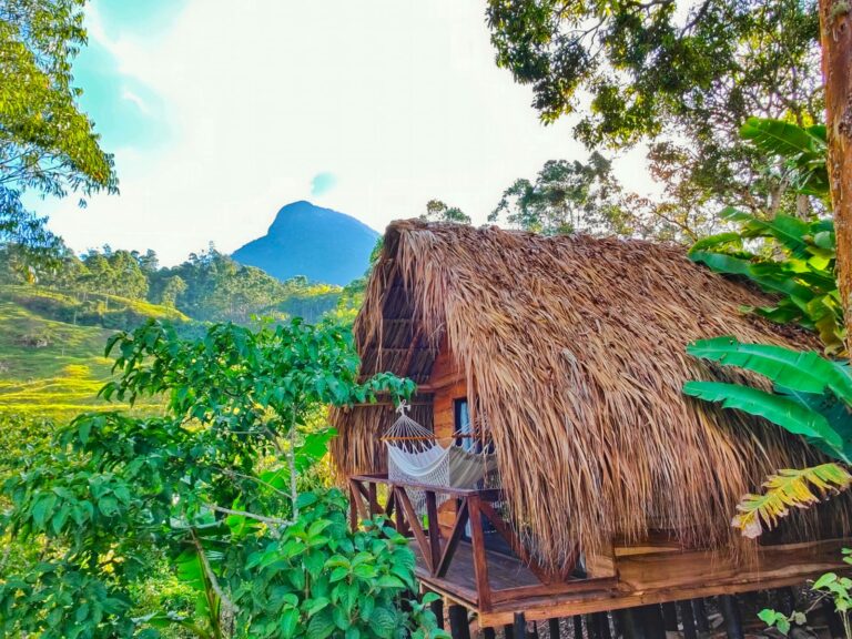 WhatsApp Image 2024 03 19 at 09.59.11 768x576