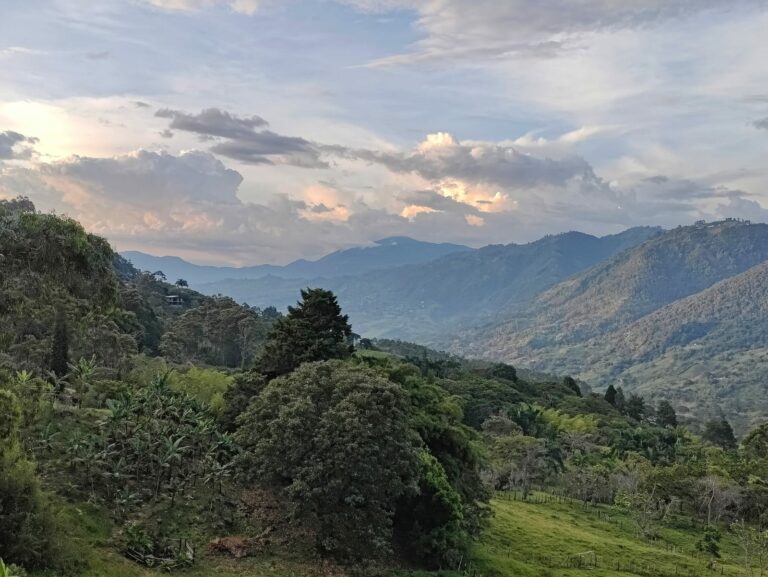 WhatsApp Image 2024 03 19 at 09.59.18 2 768x577