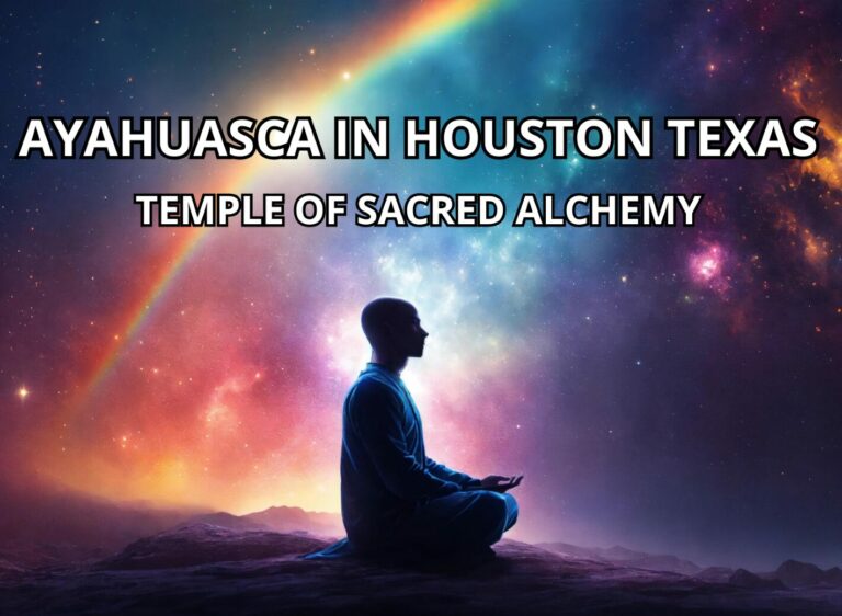 Ayahuasca in Houston Texas12 768x562