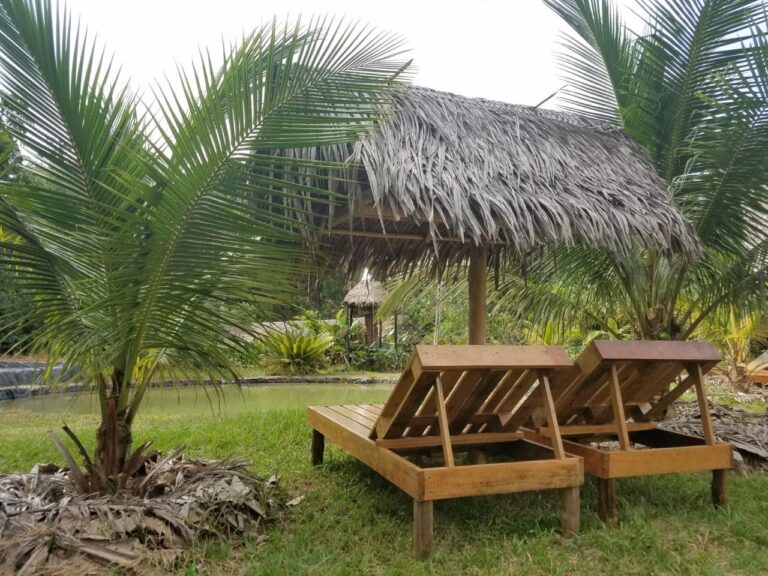 130a2673 8648 4a30 8206 0171078e5f95 768x576