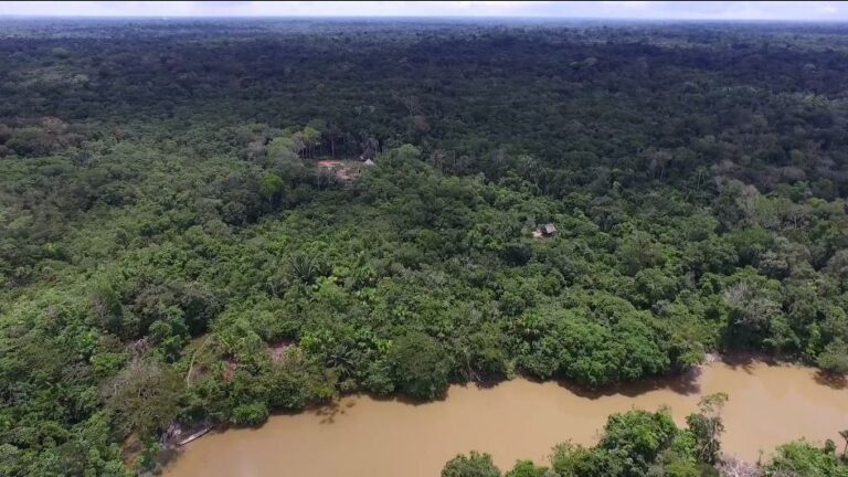 66096fc7 e12b 4ed7 a784 26f9fa4257e9 768x432