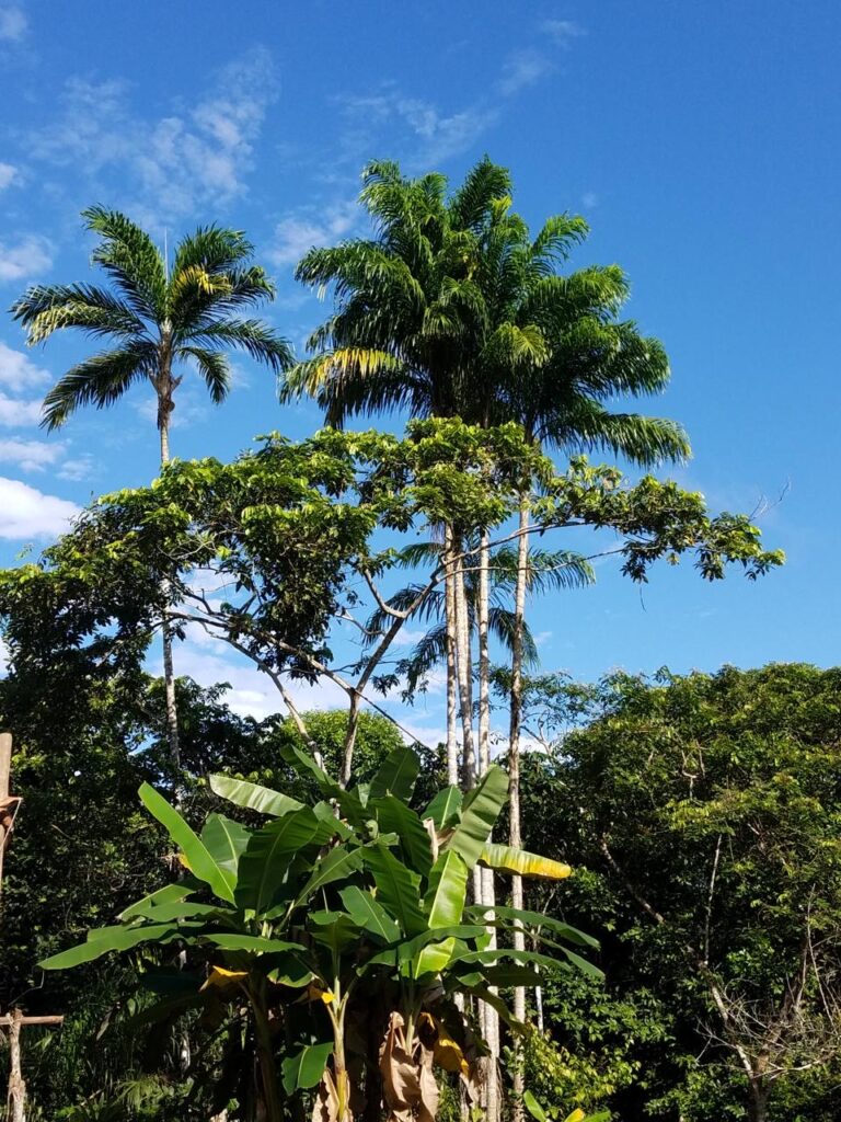 8f839939 de81 463f 9769 20c0f5d17d34 768x1024