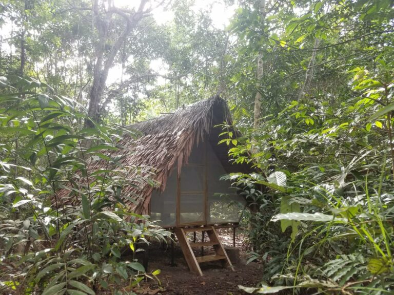 a8562b70 943c 4370 b4f7 d3564358e825 768x576