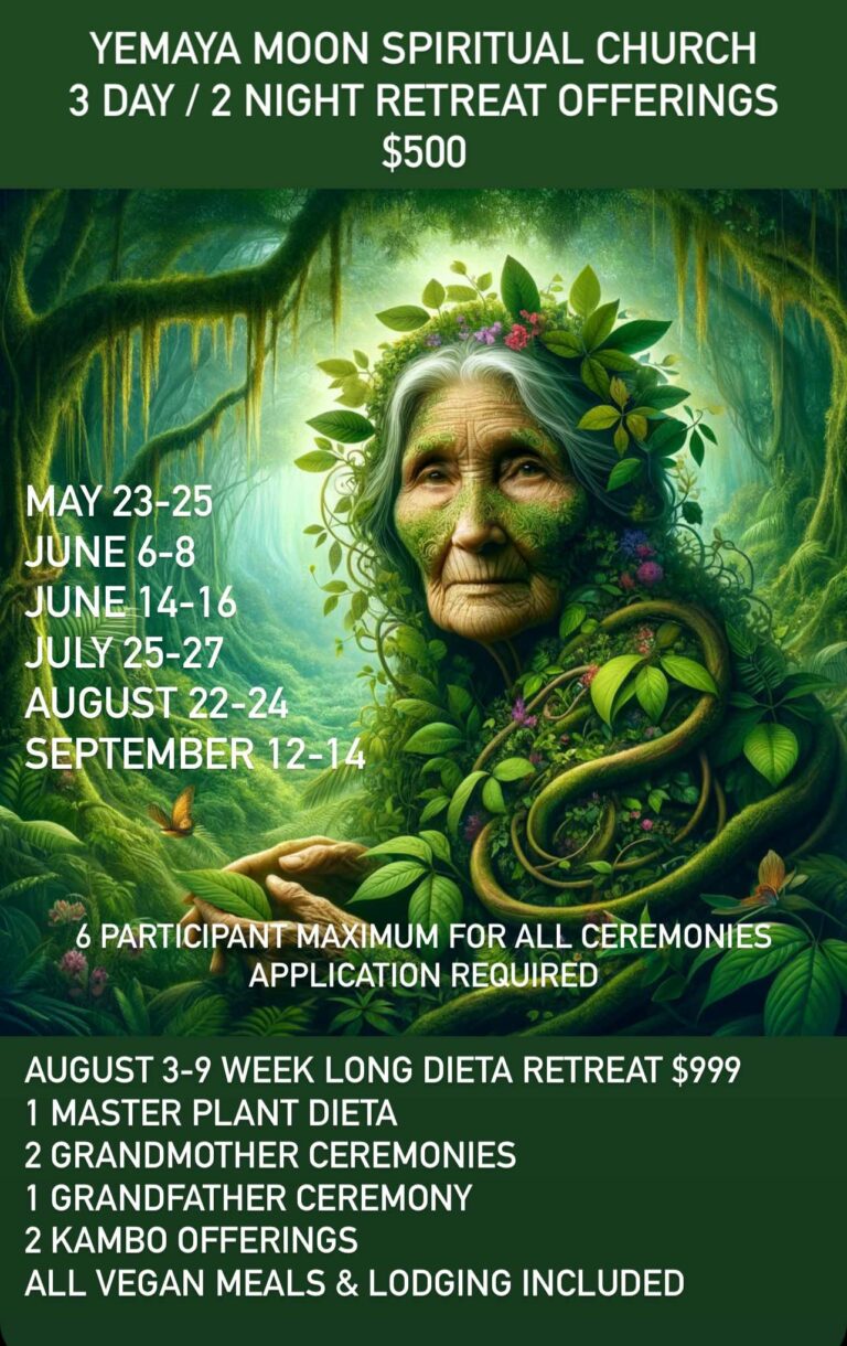 474656776 549049721502370 251161660564056979 n 1 768x1220