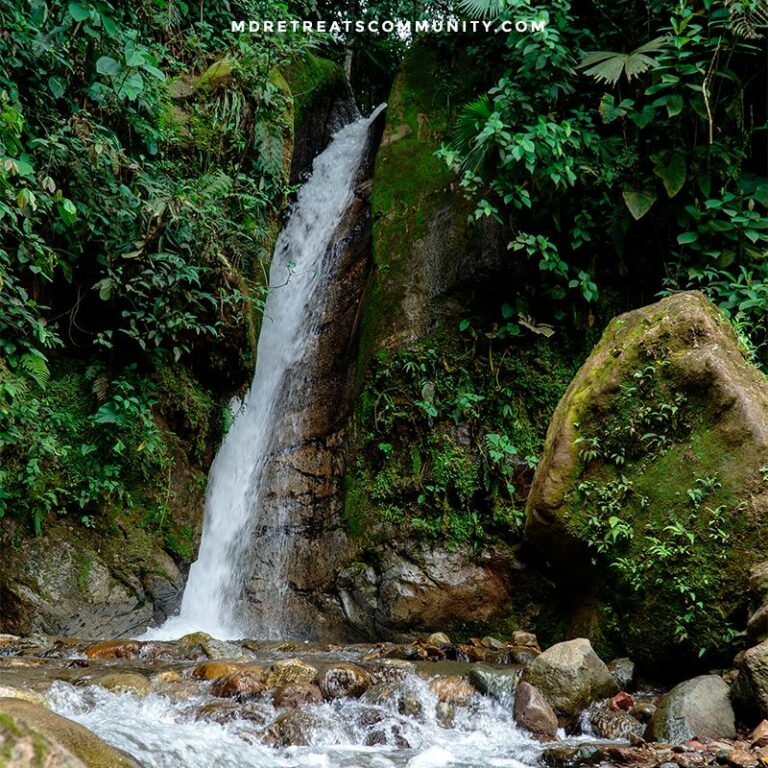 WhatsApp Image 2025 01 18 at 12.58.59 PM 768x768