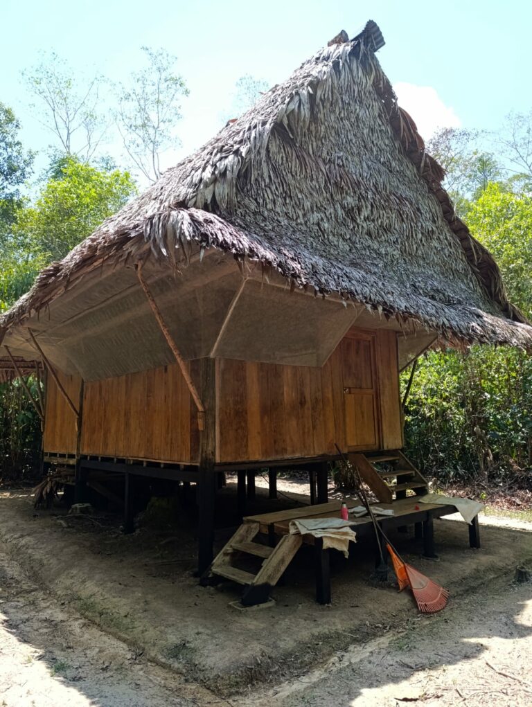 PHOTO 2024 11 27 18 49 01 768x1021