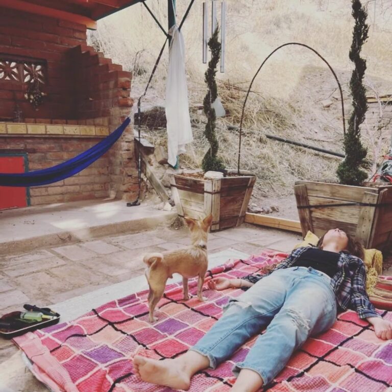 Screenshot 20240113 190233 1 768x767