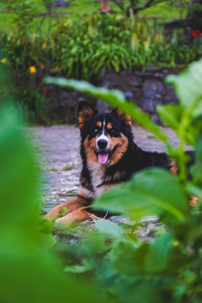 WhatsApp Image 2025 05 02 at 16.09.05 768x1152