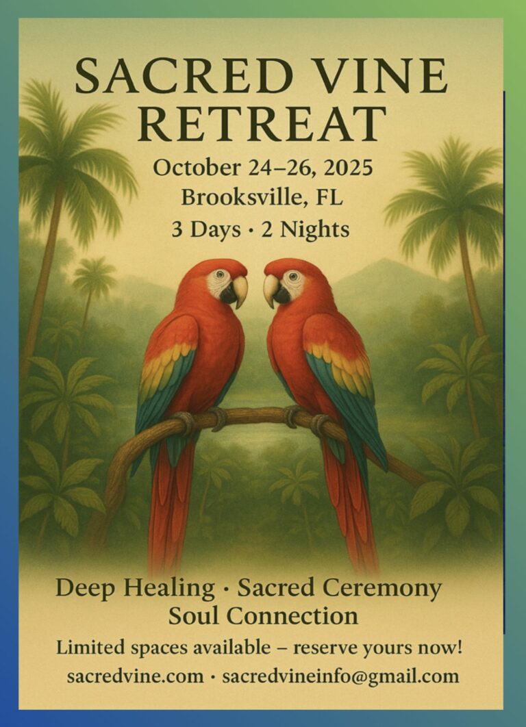 1758680575991112 768x1062