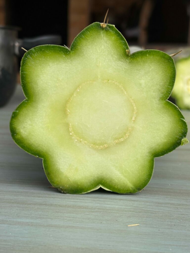 Cactus Star 768x1024