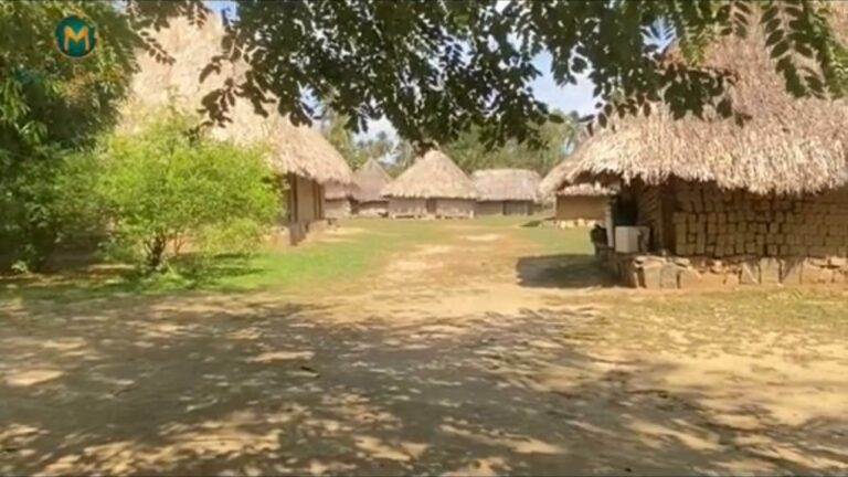 WhatsApp Image 2024 05 11 at 11.28.52 ebfa4c54 768x432