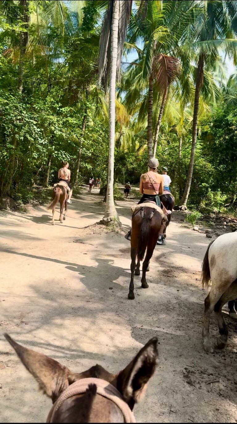 WhatsApp Image 2024 05 11 at 11.28.53 4131173a 768x1372