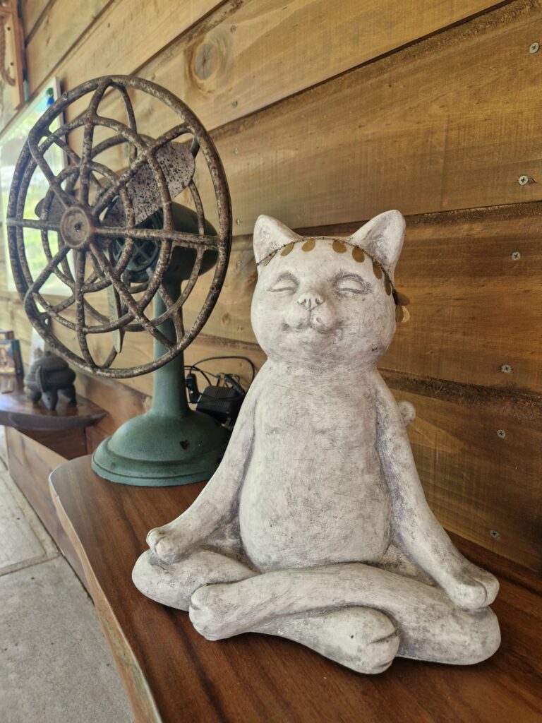 Cat budda 768x1024