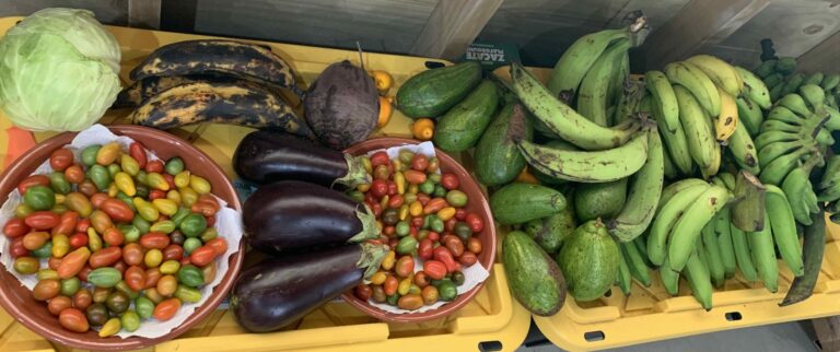 IMG 4819 Copy 768x322