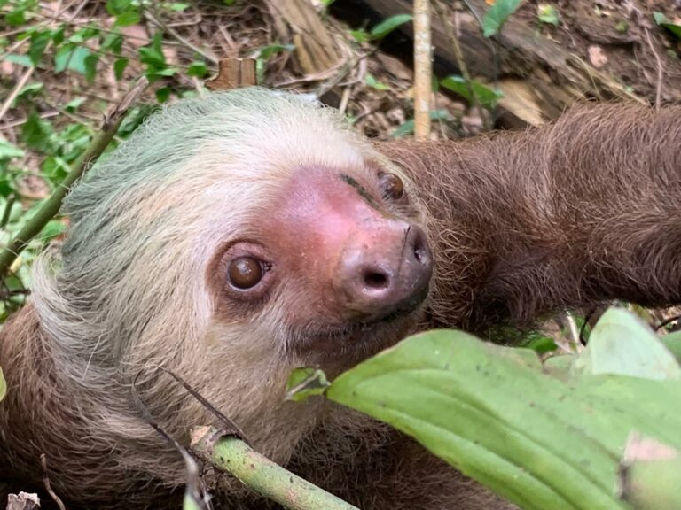 WhatsApp Image 2025 12 11 at 10.43.14 PM 768x576