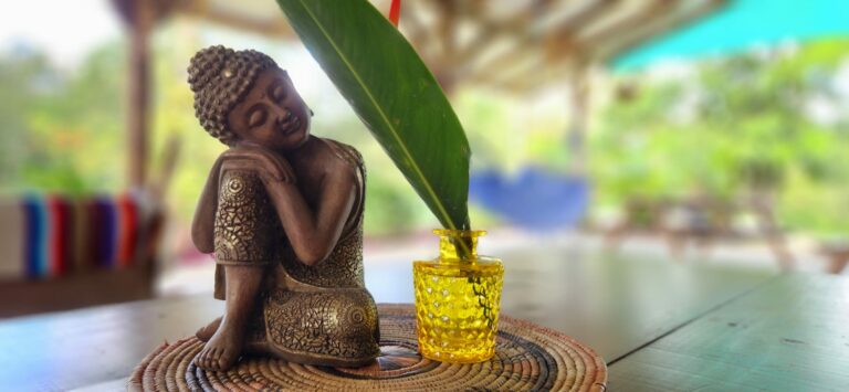 budda flower 768x355