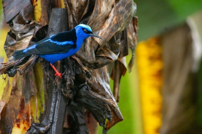 edd0fe75 dd0e 4cb4 886e 62edef2216b4 768x512