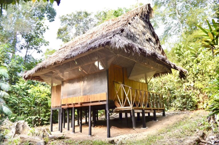 IMG 0451 compressed 768x509