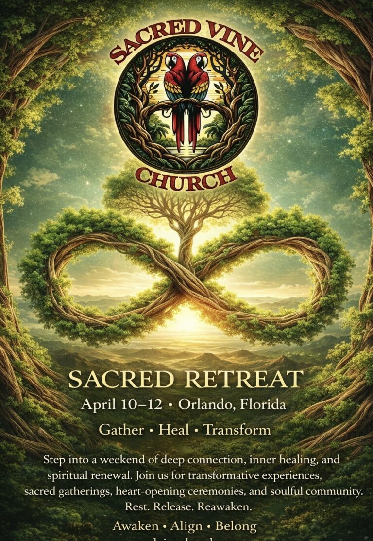 A91E79D6 796B 43EC BA3E 2CC6577B0A4F 1 768x1113