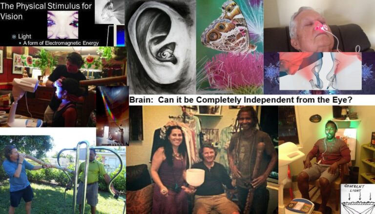 BioptDigiSound 768x439