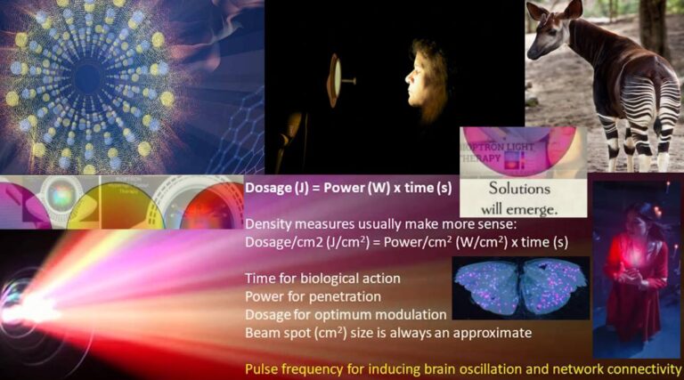 BioptronNaturePatterns 768x427
