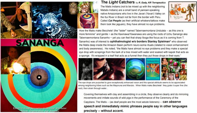 SanangaBioptron 768x443