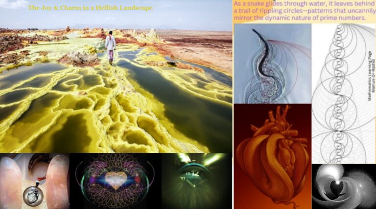 heartpatterns 768x428