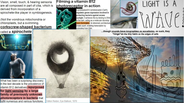 image 2026 02 23T084927.877 768x432