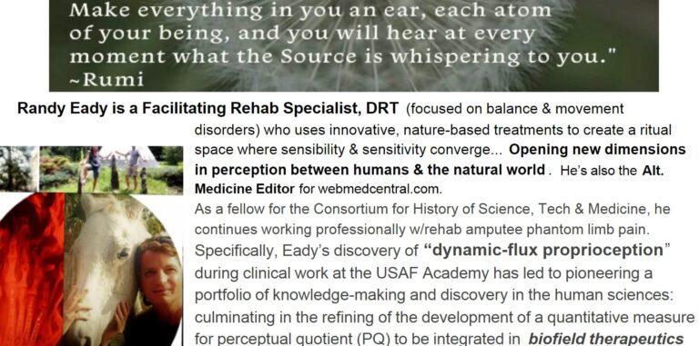 image 2026 03 11T131932.308 768x381