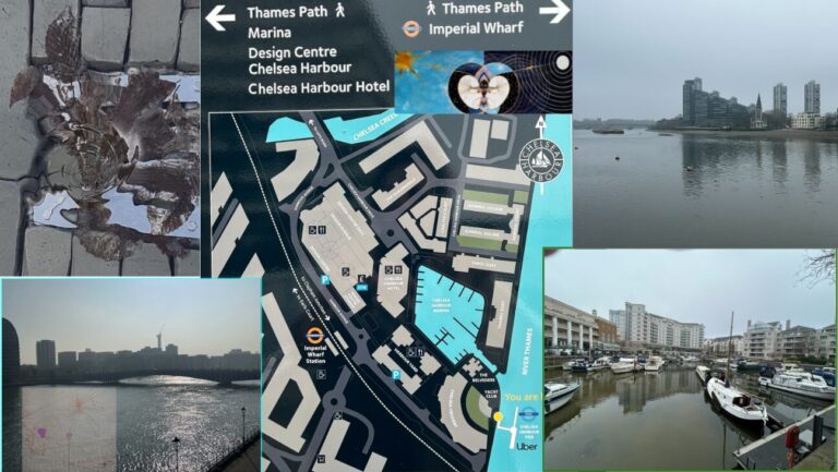 image 2026 03 11T133341.126 1 768x433