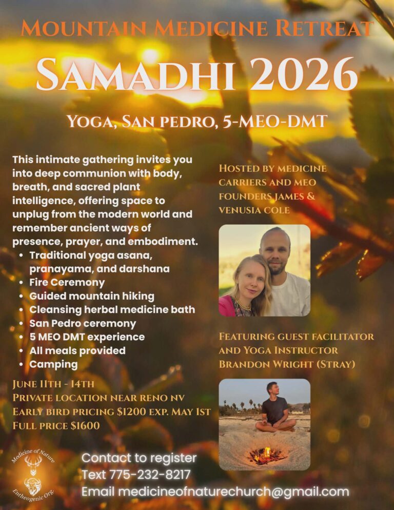 att.WjDpLlbwwZyctj2 hnYdmkEVUmZ7eC8AqKxz7gX9E1Y.png 768x994