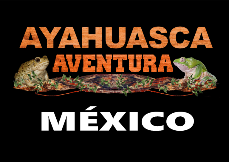 AYAHUASCA AVENTURA MEXICO 768x543