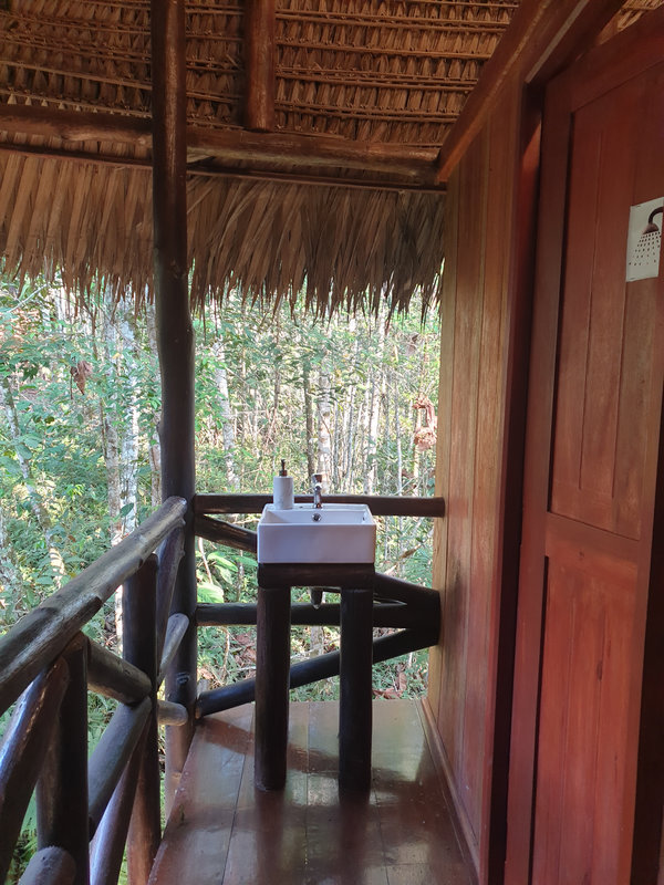 Ayaselva Ayahuasca Retreats 004