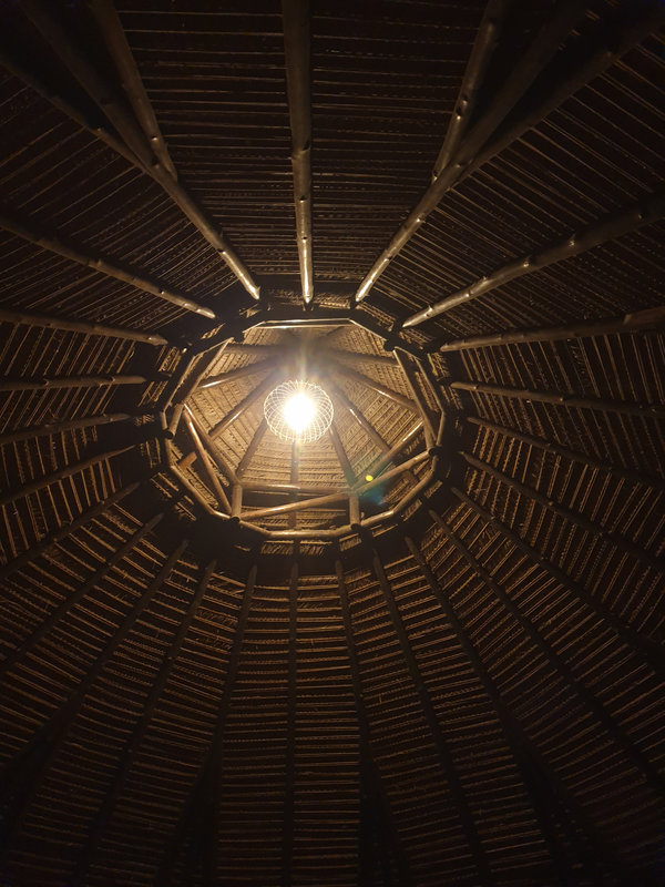 Ayaselva Ayahuasca Retreats 005