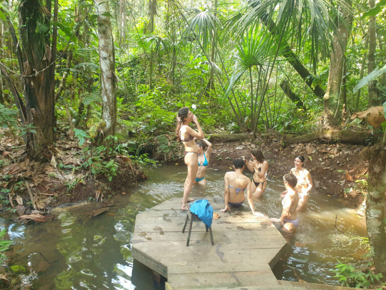 Ayaselva Ayahuasca Retreats 014 768x576