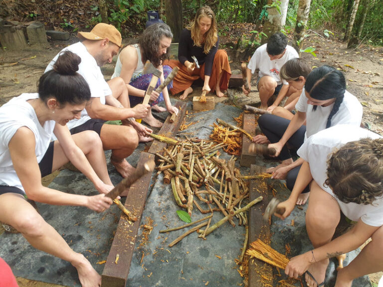 Ayaselva Ayahuasca Retreats 015 768x576