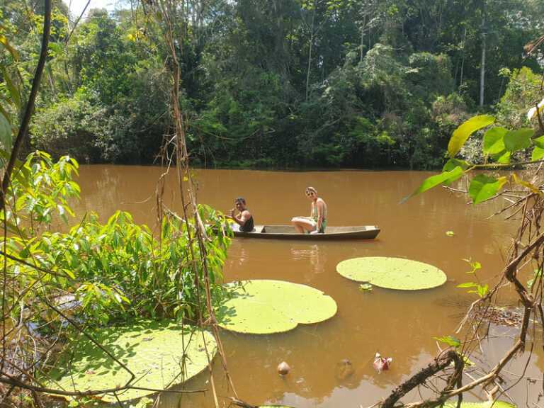Ayaselva Ayahuasca Retreats 017 768x576