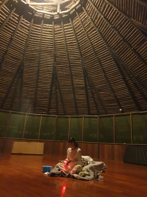 Ayaselva Ayahuasca Retreats 019