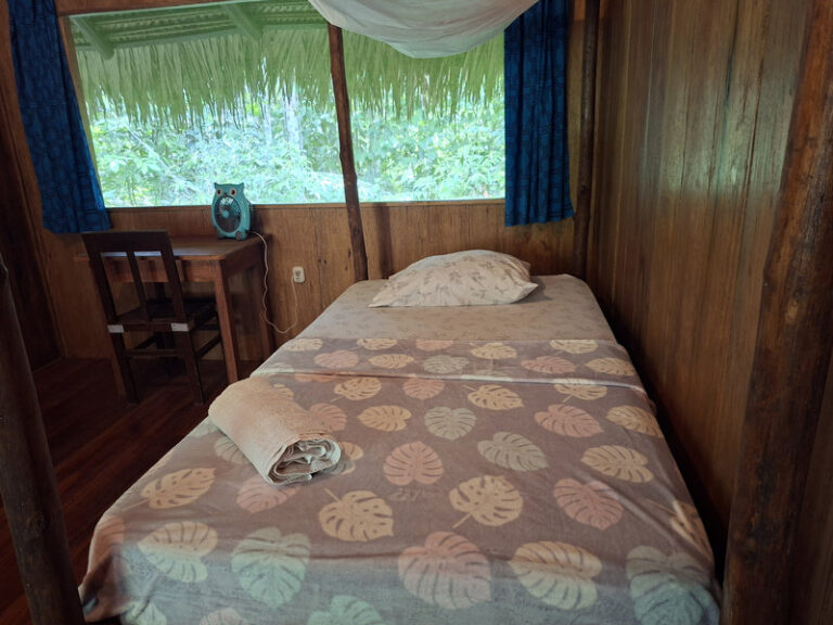 Ayaselva Ayahuasca Retreats 023 768x576