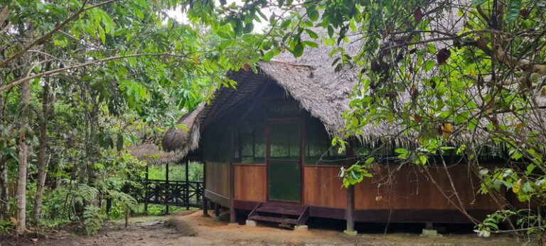 Ayaselva Ayahuasca Retreats 025 768x346