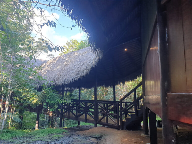 Ayaselva Ayahuasca Retreats 033 768x576