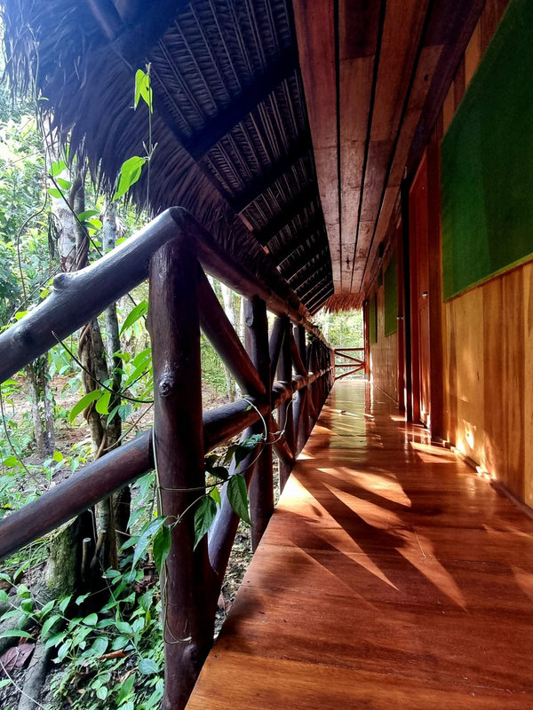 Ayaselva Ayahuasca Retreats 035