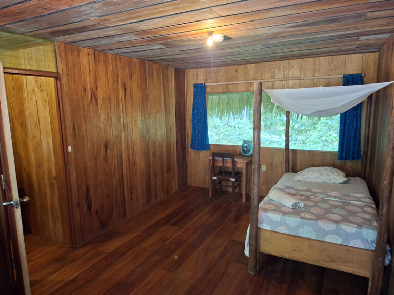 Ayaselva Ayahuasca Retreats 036 768x576